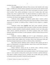 Vindikacinis ieškinys 7 puslapis