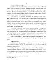 Vindikacinis ieškinys 8 puslapis