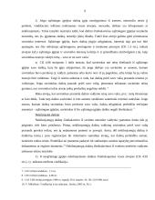 Vindikacinis ieškinys 9 puslapis