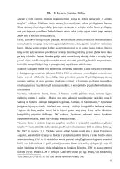 XVI amžiaus Lietuvos Statutai ir jų reikšmė 7 puslapis