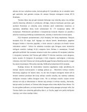 Žmogaus teisės ir Trečiasis ramstis 3 puslapis