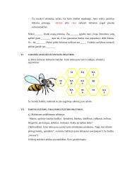 Išplėstinis logopedinių pratybų planas trečiai klasei 4 puslapis