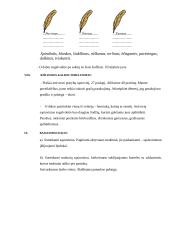 Išplėstinis logopedinių pratybų planas trečiai klasei 5 puslapis