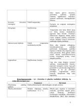 Ligos istorija: Gripas (Bronchopneumonija) 6 puslapis