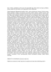 Ligos istorija: psichiatrija 4 puslapis