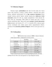 Ligos istorija: reumatologija 4 puslapis