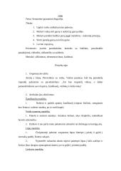 Logopedinių pratybų išplėstinis planas: semantinė gramatinė disgrafija 2 puslapis
