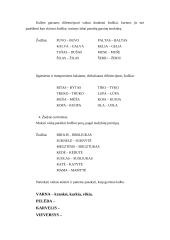 Logopedinių pratybų išplėstinis planas: semantinė gramatinė disgrafija 5 puslapis
