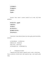 Logopedinių pratybų išplėstinis planas: semantinė gramatinė disgrafija 6 puslapis