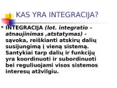 Europos Sąjungos (ES) integracijos esmė, formos ir principai 2 puslapis
