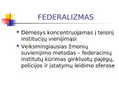 Europos Sąjungos (ES) integracijos esmė, formos ir principai 13 puslapis
