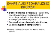Europos Sąjungos (ES) integracijos esmė, formos ir principai 14 puslapis