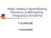 Europos Sąjungos (ES) integracijos esmė, formos ir principai 17 puslapis