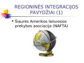 Europos Sąjungos (ES) integracijos esmė, formos ir principai 20 puslapis