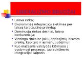 Europos Sąjungos (ES) integracijos esmė, formos ir principai 8 puslapis