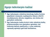 Firmos ekonominiai gamybos kaštai 18 puslapis