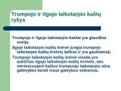 Firmos ekonominiai gamybos kaštai 20 puslapis