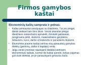 Firmos ekonominiai gamybos kaštai 3 puslapis