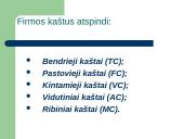 Firmos ekonominiai gamybos kaštai 5 puslapis