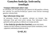 Gamybos teorija 2 puslapis