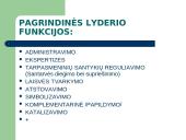 Lyderiavimo esmės sampratos 8 puslapis