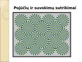 Psichinė sveikata ir psichikos sutrikimai: taikymo metodai 12 puslapis