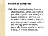 Psichinė sveikata ir psichikos sutrikimai: taikymo metodai 4 puslapis