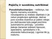 Psichinė sveikata ir psichikos sutrikimai: taikymo metodai 8 puslapis
