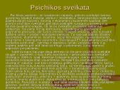 Sveikos mitybos principai bei pagrindinės taisyklės 14 puslapis