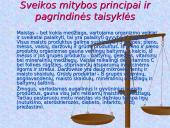 Sveikos mitybos principai bei pagrindinės taisyklės 3 puslapis