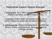 Sveikos mitybos principai bei pagrindinės taisyklės 4 puslapis