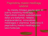 Sveikos mitybos principai bei pagrindinės taisyklės 6 puslapis