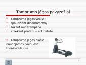 Tamprumo jėga 17 puslapis