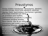 Vanduo etnokultūroje 12 puslapis