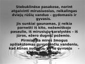 Vanduo etnokultūroje 14 puslapis