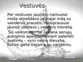 Vanduo etnokultūroje 10 puslapis