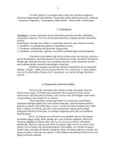 Asmenybės (raidos) teorijų apraiškos mano kasdieninėje ir profesinėje veikloje 5 puslapis