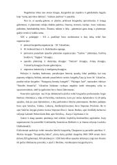 Knygnešiai 2 puslapis