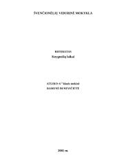 Knygnešiai 4 puslapis