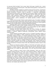 Mikalojus Konstantinas Čiurlionis - jo gyvenimas ir kūryba 2 puslapis