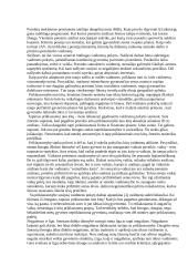 Socialiniai vaidmenys 2 puslapis