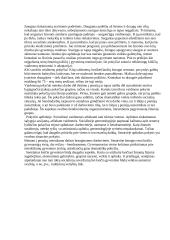 Socialiniai vaidmenys 3 puslapis