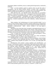 Teisės pažeidimai 7 puslapis