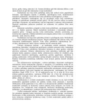 Teisės pažeidimai 9 puslapis