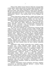 1941 metų birželio sukilimas - priežastys, eiga ir pasekmės 5 puslapis