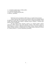 A. Smetona - Lietuvos prezidentas 2 puslapis