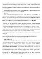 Adobe Photoshop 10 puslapis