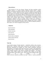 Ankilozuojantis spondilartritas (Bechterevo liga) 4 puslapis