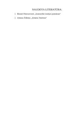 Antanas Smetona 11 puslapis