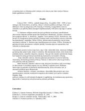 Antano Smetonos politika 13 puslapis